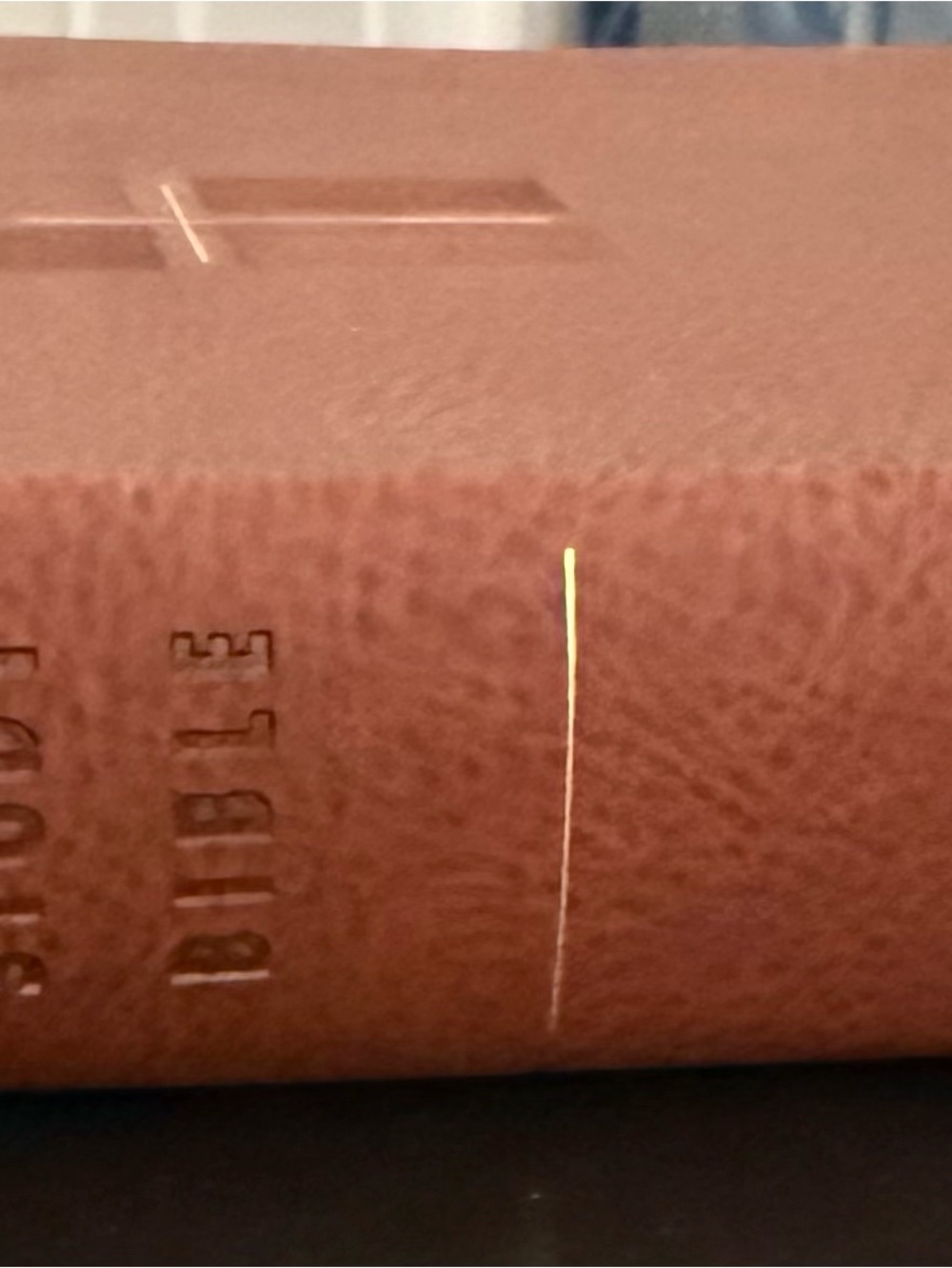Quest Brown Bible
